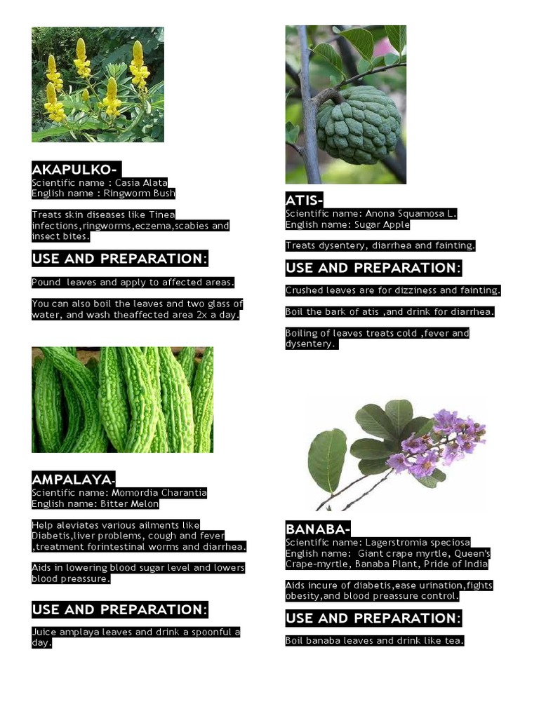 Philippine Medicinal Plants Guide | PDF | Oregano | Diarrhea