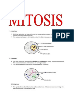 Mitosis