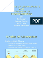 Structure of Chloroplasts AND Overview of Photosynthesis