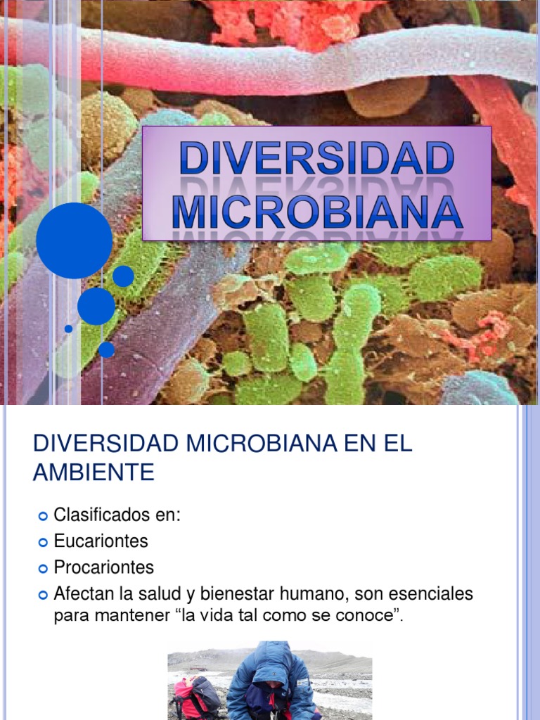 Diversidad Microbiana y Clasificación | PDF | Procariota | Las bacterias