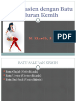Download Asuhan Keperawatan Klien Dengan Batu Saluran Kemih by rahmani SN23588012 doc pdf