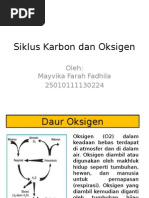 Siklus Karbon Dan Oksigen