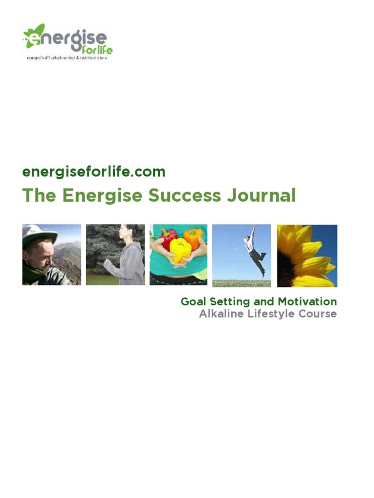Energise Success Journal | PDF