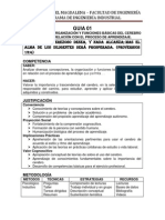 Conceptos, Organización y Funciones Del Cerebro