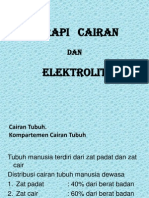 Terapi Cairan Dan Elektrolit