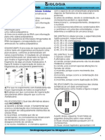 Nucleo e Divisao Exercicios