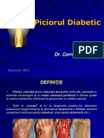 12 Piciorul Diabetic Ptr Studenti