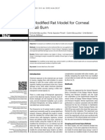 A Modified Rat Model For Corneal Alkali Burn