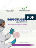 Brucelosis-Bovina4
