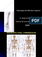 Clase 2 - Osteologia Del Miembro Superior