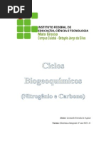Ciclo Do Nitrogênio e Carbono
