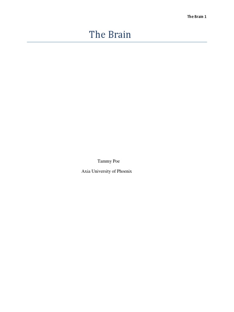Overview of Brain Structures and Functions | PDF | Brainstem | Neurobiology
