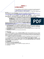 Anon - Derecho Procesal Civil (30 Temas)