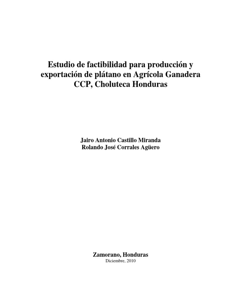 Estudio Factibilidad Platano Costa Rica Agricultura