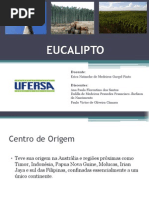 EUCALIPTO