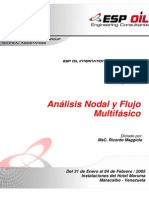 Analisis Nodal y Flujo Multifasico (Ricardo Maggiolo)