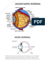 Tujuan 1 Mata Normal
