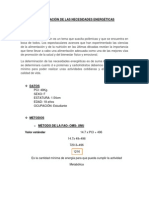 Determinación de Las Necesidades Energéticas