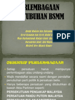 PERLEMBAGAAN PERTUBUHAN BSMM