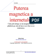 Puterea Magnetica a Internetului