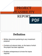 What is a Project Feasibility Report