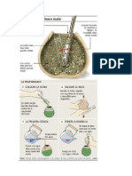 Cómo Cebar Un Buen Mate