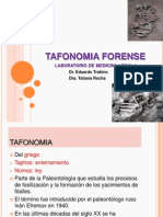TAFONOMIA FORENSE.pptx