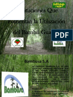 Charla de Bambu Guadua