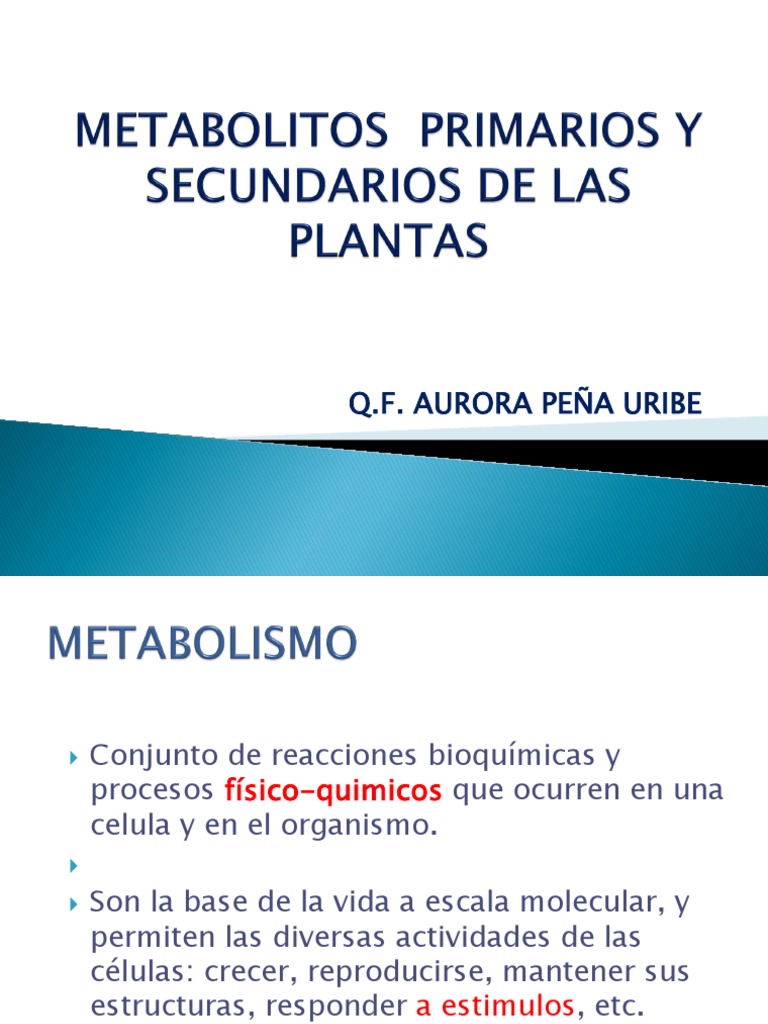 Metabolitos Primarios y Secundarios de Las Plantas. Apupe 3