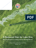 A balance diet for Lake Erie