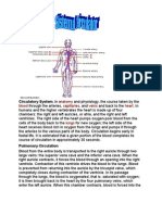 Circulatory System, In: Anatomy Blood Capillaries Veins Heart