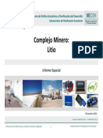 ficha_litio_dic_2011.pdf