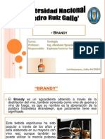 Diapositivas Brandy - Yamir Espinoza