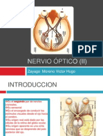 Anatomia de Ojo