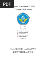 Download Laporan Praktikum FISIKA Hukum Hidrostatik by Kamila Fara Hanifah SN236118956 doc pdf