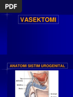 Download Vasektomi by Priskila Kristiawan SN236119501 doc pdf