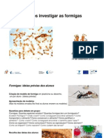 PPT_formigas_Eduardo_Sequeira_14_Set_2012.pdf