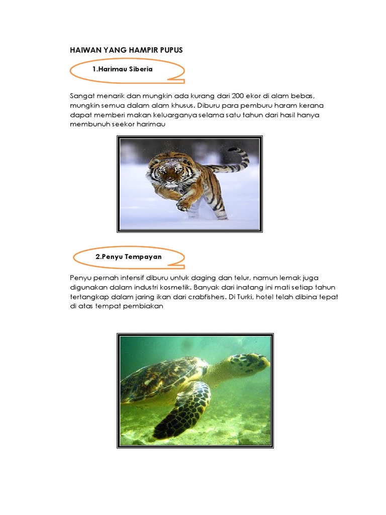 Haiwan Yang Hampir Pupus Pdf