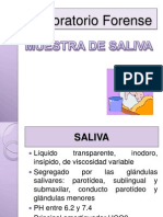 CLASE 2 Laboratorio Forense Saliva