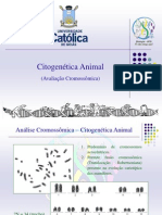 Análise Cromossômica - Citogenética Animal