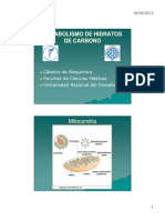 Cadena Respiratoria y Fosforilación Oxidativa
