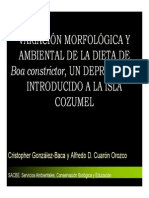 Variacion Morfologica Y Ambiental de La Dieta de Boa Constrictor, Un Depredador Introducido A La Isla Cozumel