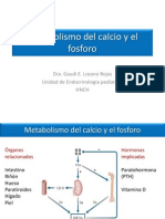 04_Metabolismo Del Calcio y El Fosforo