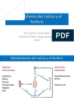 04 - Metabolismo Del Calcio y El Fosforo