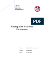 Patologias Senos Paranasales Equino (Autoguardado)