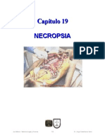 19 Necropsia