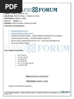 Turmãƒo Federal 2013 - Manhãƒ - Presencial - Direito Penal - Teoria Da Pena - Aula 06 -20.05.2013