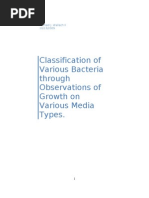 Download Classification of Various Bacteria through Observations of Growth on Various Media Types by Brian Sweeney SN23620078 doc pdf