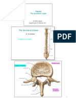 BB FM2102 L1 Vertebral Column & Joints