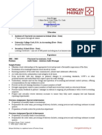 Big 4 Sample CV